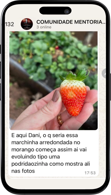 print-wpp-1