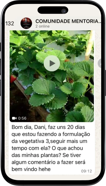 print-wpp-2